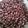 Winnie Aducxer's cooksnap of when they made Roasted groundnuts ' njugu karanga'.