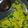 Tanvi Chavda's cooksnap of when they made ઢોકળા (Dhokla Recipe In Gujarati).