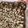 Cooksnap dari yoley untuk resep Brownies Panggang Coklat