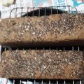 El cooksnap de Yoli Palazzo cuando hizo PANCITOS DE HARINA INTEGRAL Y HARINA DE SALVADO 🤗😋🤩💖🥖🥯🍞.
