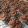 Cooksnap dari Jesslyn untuk resep Semprit Susu