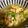 Ore Yii 的 清炒絲瓜 cooksnap