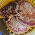 Cooksnap dari NOVITA FEBRIANI untuk resep Banana oat pancake