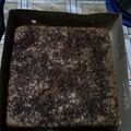 Cooksnap dari Sri Handayani untuk resep Bolu panggang 3 telur