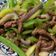 人如其食 的 青椒炒肉絲（快手料理） cooksnap