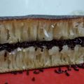 Cooksnap dari Resia Dwi Mulyani untuk resep Martabak Manis Teflon (Terang Bulan)