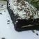 Cooksnap dari Wilia Luna Rachma untuk resep Brownies oreo kukus simple