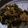 Bharati Chocksi's cooksnap of when they made Aloo Methi Ki Sabzi.