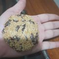 El cooksnap de Priscila Zuñiga Vidal cuando hizo Galletas de avena, naranja y chips.