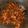 Cooksnap dari Amelia Tyaz untuk resep Sambel goreng tempe udang dengan pete