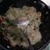 Cooksnap Nazilatul hasanah Sulaiman semasa beliau membuat Bihun Goreng Singapore Style.