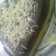 Cooksnap dari Mawar Rita untuk resep Tiramisu kukus