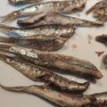El cooksnap de swicca cuando hizo Boquerones en freidora de aire Cosori, sin harina.