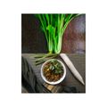 Alpa Pandya's cooksnap of when they made મૂળા ની લોટવાલી ભાજી (Mooli Besan Bhaji Recipe In Gujarati).