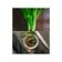 Alpa Pandya's cooksnap of when they made મૂળા ની લોટવાલી ભાજી (Mooli Besan Bhaji Recipe In Gujarati).