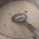 Buddhadev Reena's cooksnap of when they made ખીર (Kheer Recipe In Gujarati).