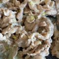 クック290SEH☆'s cooksnap of when they made 豚こまで簡単！ご飯が進む豚のねぎ塩だれ.