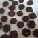 Cooksnap dari Danti untuk resep Dark Choco Cookies (no mixer, no bake)