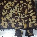 Cooksnap dari Nda Budiyono untuk resep Brownies panggang