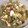 El cooksnap de Martíviri cuando hizo Judias verdes en ensalada.