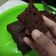 Cooksnap dari Annisa Luthfiani untuk resep Brownies Kukus Nutricake (Rice Cooker) Modal 20 ribuan