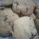 Cooksnap dari christina handoyo untuk resep Chewy chocolate chip cookies