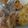 Cooksnap dari Cori Gladisya untuk resep Ayam shilin #keto