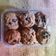 Cooksnap dari Rini Bunda Q Q untuk resep Chocochip cookies (#pr_kuekering)