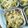 Cooksnap dari rivyana intan untuk resep Macaroni schotel kukus/panggang