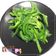 棠棠 的 炒青椒 cooksnap
