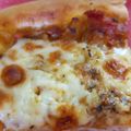 El cooksnap de Arnolda Arnoldo cuando hizo PrePizzas para freezar con levadura en polvo con Masa Madre.