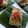 Srabani Roy 's cooksnap of when they made ভেটকি মাছের পাতুরি (bhetki macher paturi recipe in Bengali).