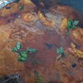 Charusheela Prabhu's cooksnap of when they made 