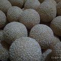 Cooksnap dari Dhani agustina untuk resep Onde-Onde