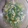 Cooksnap dari Shintaa Soli untuk resep Tumis Kangkung Toge