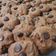 Cooksnap dari rina untuk resep Choco chip almond cookies #momenmanis #siapramadhan