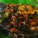 Cooksnap dari Dapur_Ine0 untuk resep Ikan Bakar Rica
