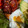 Cooksnap de I. Anselmo quando cozinhou Tomate assado na frigideira.