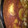El cooksnap de Noe Lopez cuando hizo Torta invertida de manzanas.