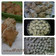 Cooksnap dari elvira Agustina untuk resep ONDE KETAWA