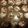 MIKE KLINE's cooksnap of when they made easy chocolate cookies.