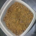 Sujata Kulkarni's cooksnap of when they made 
