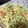 El cooksnap de Julia Garcia cuando hizo Pesto.