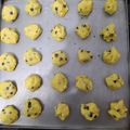 Cooksnap dari maytio fantalina untuk resep Choco Vanila Cookie for the Good Time