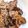 Cooksnap dari Fiqi Putri untuk resep Glazed Shiitake Mushroom
