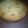 El cooksnap de Erikaa Gisela Bj cuando hizo Bizcochuelo fácil y rápido.