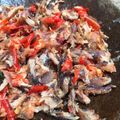 Cooksnap dari melianasution untuk resep SAMBAL Uleg IKAN