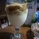Cooksnap dari Wenny untuk resep Dalgona coffe tanpa mixer