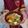 Cooksnap dari satriani Muha. untuk resep Cah Brokoli Wortel