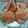 Cooksnap dari edith Indraswari untuk resep Chicken drumsticks rempah